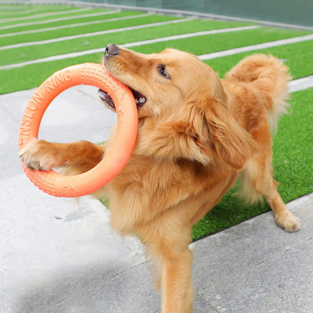 Flying Disc Dog Training Toy - 반려동물 플라잉 디스크 훈련 링 풀러,