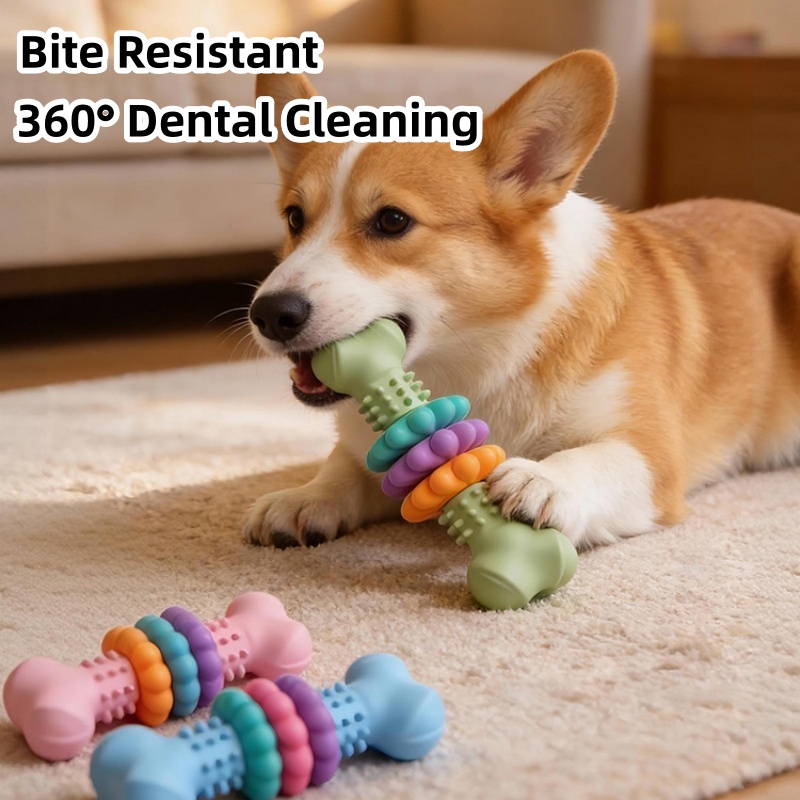 Teeth Cleaning Dog Chew Bone - 튼튼한 TPR 소재 강아지 씹는 장난감