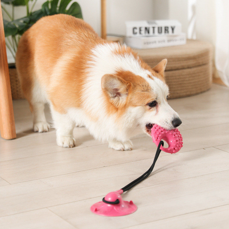 Suction Cup Dog Tug Toy - 개 장난감 실리콘 흡입 컵 잡아