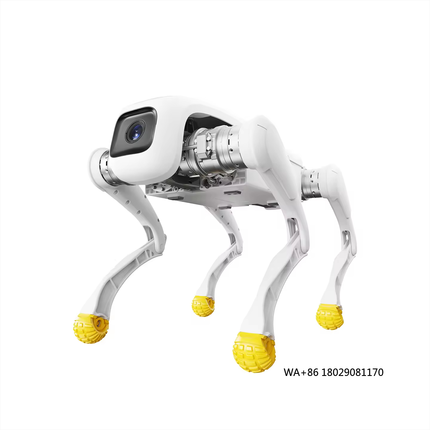 Dog Toys - 디자인 도그 로봇 AI 전자 로봇
