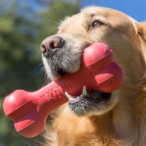 Rubber Treat Dispensing Dog Toy - 클래식 내구성 천연 고무 강아지 뼈,