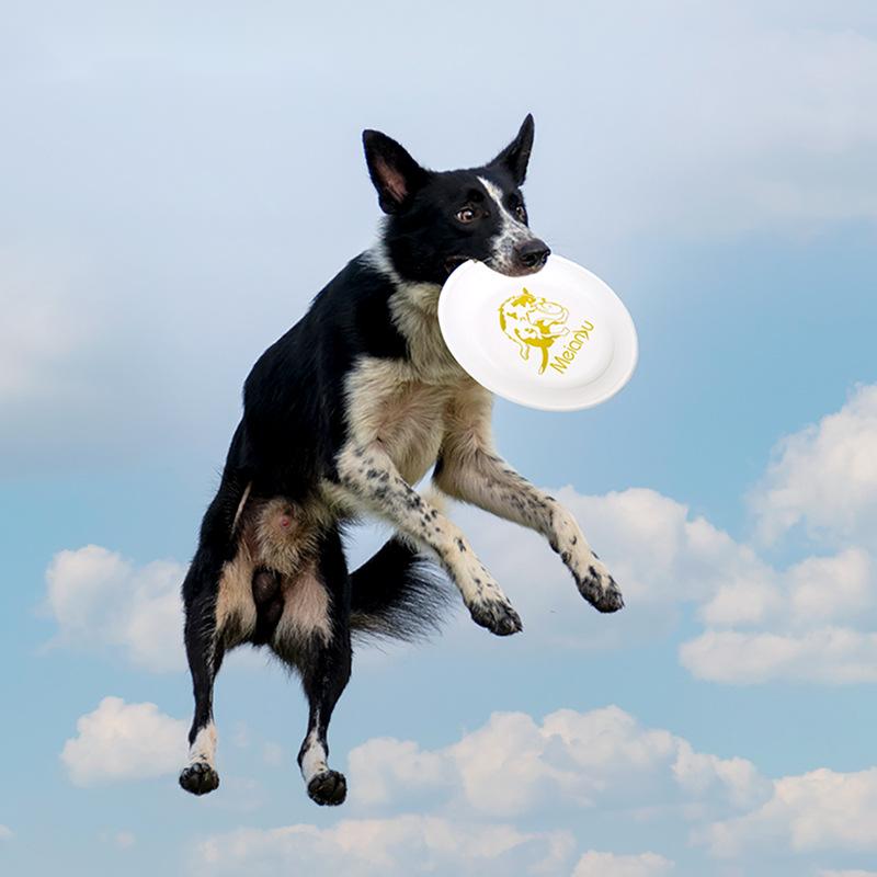 Flying Disc Dog Training Toy - OUZEY 반려동물 물기 방지 훈련 플라잉