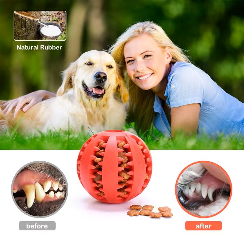 Dog Puzzle Feeder Toy - 강아지와 고양이를 위한 인터랙티브 실리콘 고무