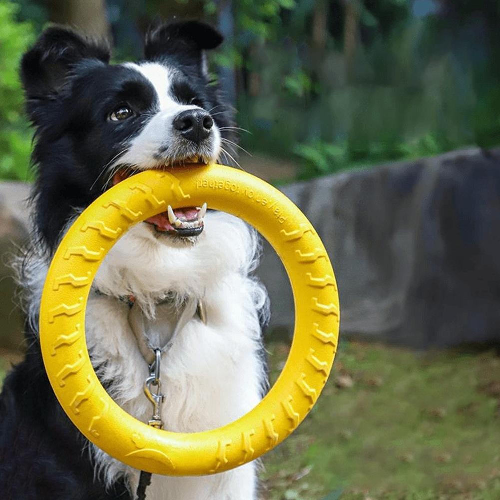 Indestructible Dog Chew Toy - 강아지 링 장난감, 파괴 불가능한 씹는
