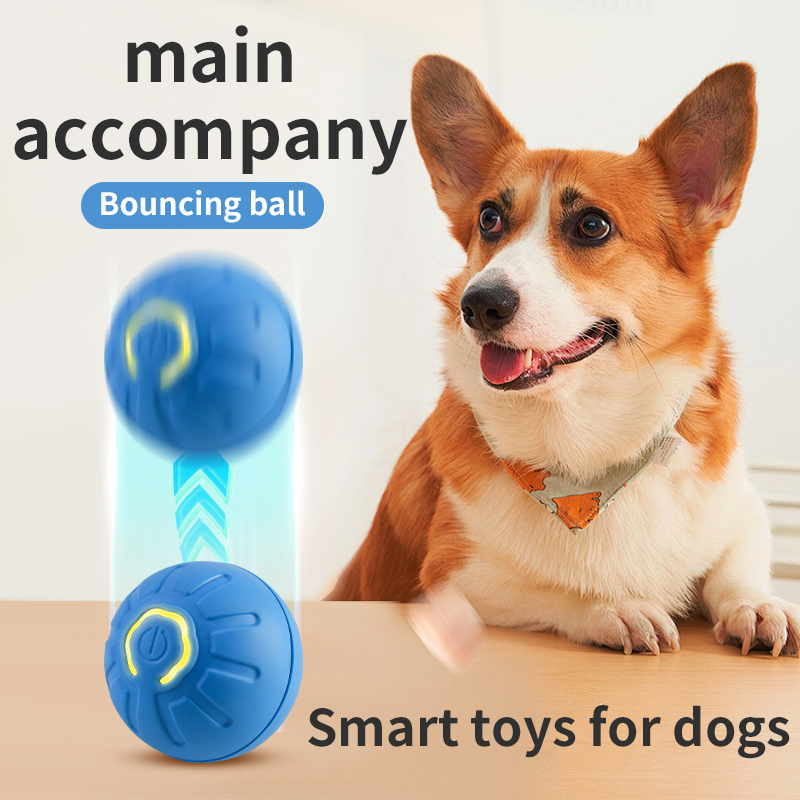 Automatic Moving Dog Ball - 자동 이동 강아지 장난감 공 스마트