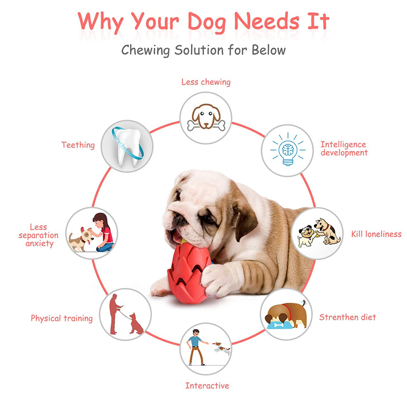 Benepaw 파괴 불가능한 Pitaya 개 씹기 장난 - Indestructible Dog Chew Toy 리뷰 및 가격