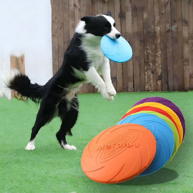 실리콘 플라잉 디스크 장난감 다기능 애완견 훈련 장난감 - Flying Disc Dog Training Toy 리뷰 및 가격