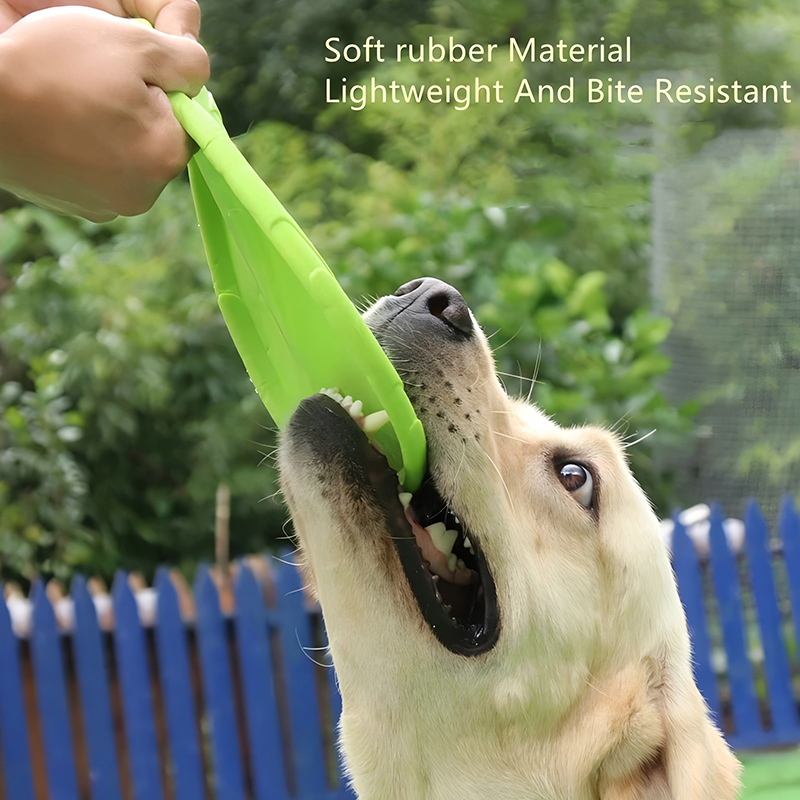 실리콘 플라잉 디스크 장난감 다기능 애완견 훈련 장난감 - Flying Disc Dog Training Toy 리뷰 및 가격