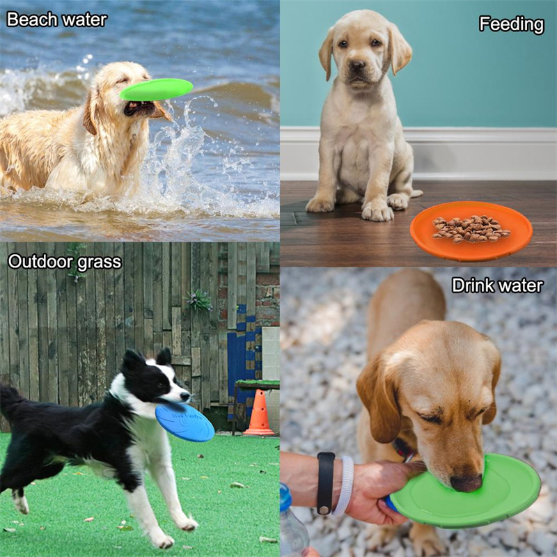 실리콘 플라잉 디스크 장난감 다기능 애완견 훈련 장난감 - Flying Disc Dog Training Toy 리뷰 및 가격