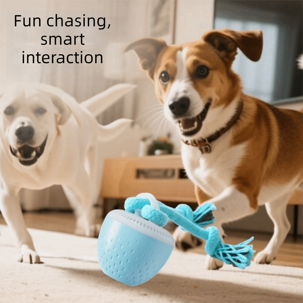 내구성 강한 스마트 펫 토이 볼 랜덤 경로 USB 충전 - Automatic Moving Dog Ball 리뷰 및 가격