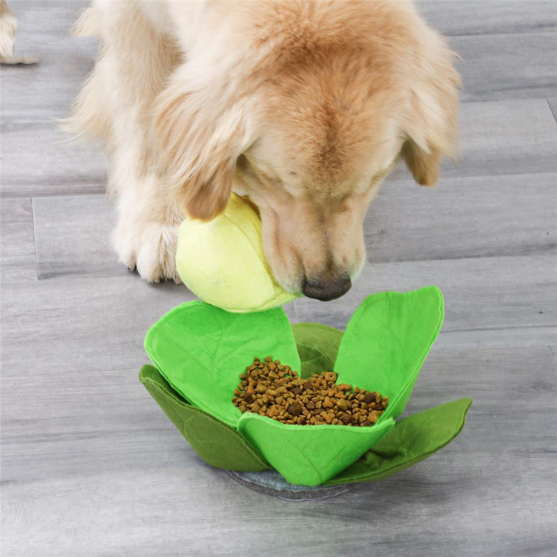 애완 동물 강아지 스너플 매트, 애완 동물 스니핑 양배 - Snuffle Mat For Dogs 리뷰 및 가격