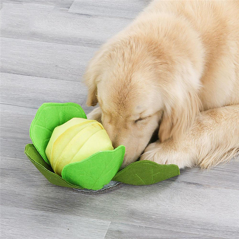 애완 동물 강아지 스너플 매트, 애완 동물 스니핑 양배 - Snuffle Mat For Dogs 리뷰 및 가격