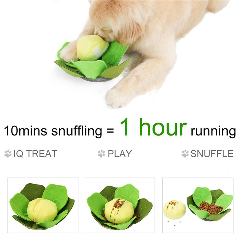 애완 동물 강아지 스너플 매트, 애완 동물 스니핑 양배 - Snuffle Mat For Dogs 리뷰 및 가격