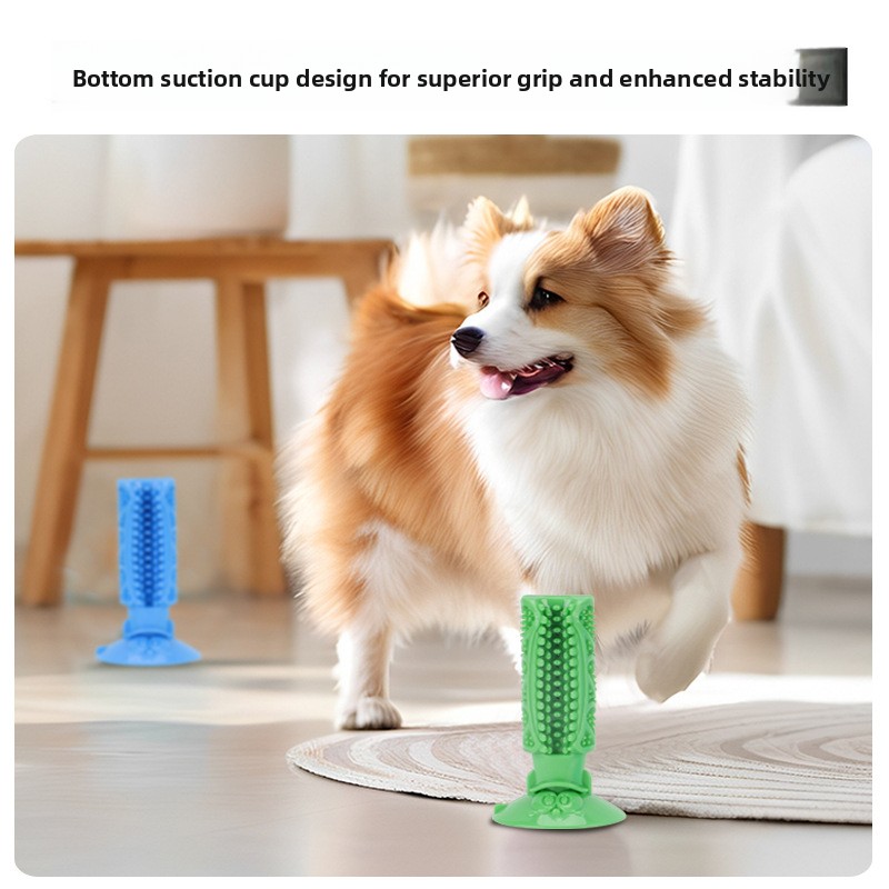 강아지 치아 청소용 씹는 장난감 흡착식 치아 스틱 내구 - Teeth Cleaning Dog Chew Bone 리뷰 및 가격