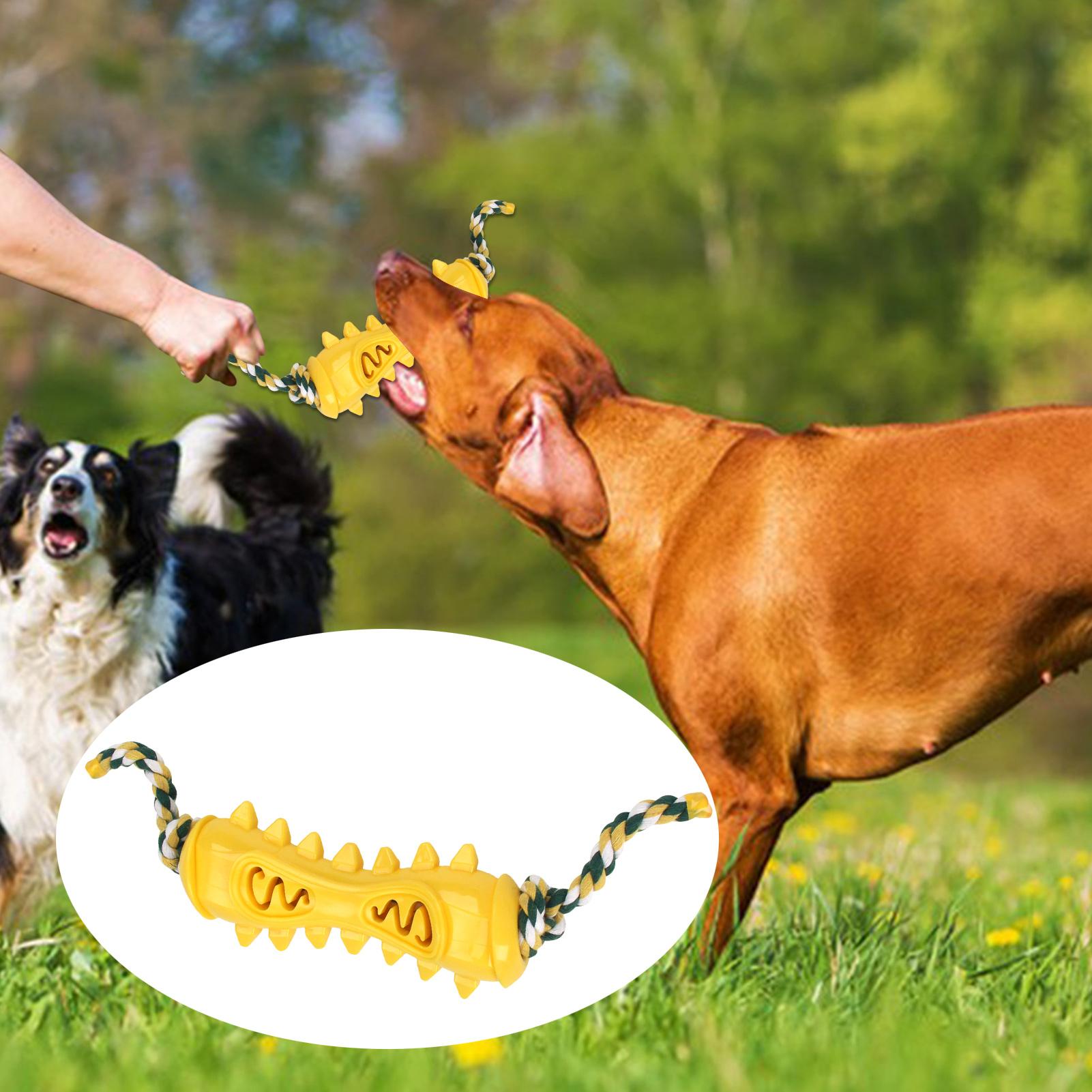 공격적인 씹는 습관을 가진 강아지를 위한 씹는 장난감, - Dog Rope Toy Aggressive Chewers 리뷰 및 가격