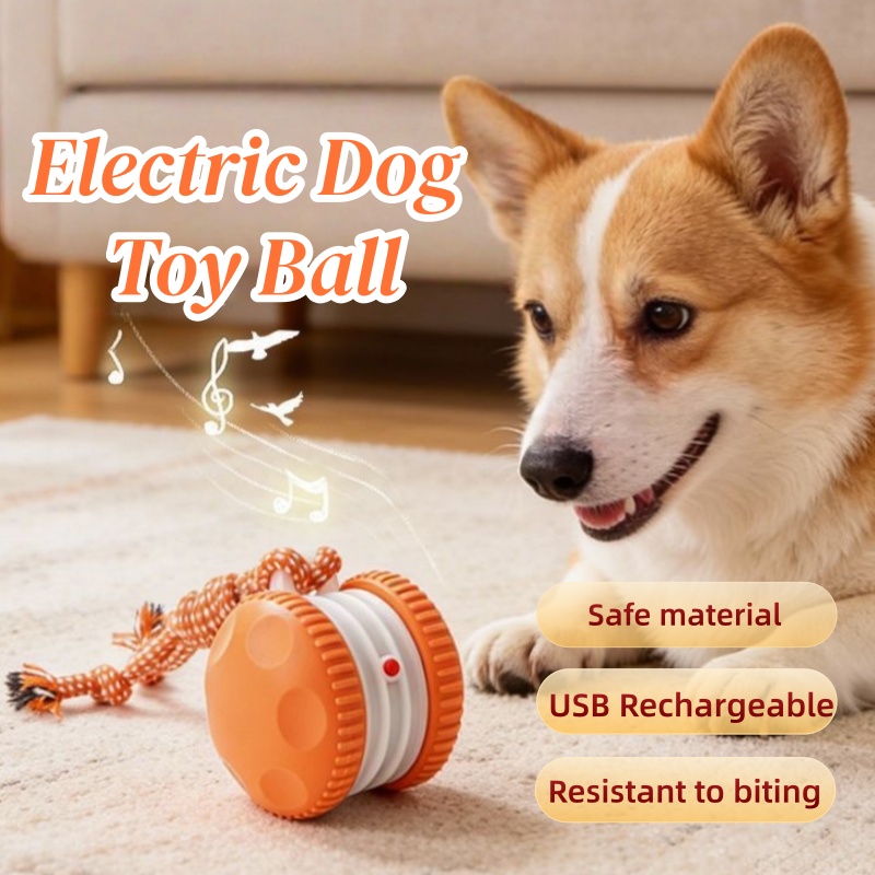 스마트 전기 인터랙티브 애완동물 장난감 공 자동 롤링  - Automatic Moving Dog Ball 리뷰 및 가격