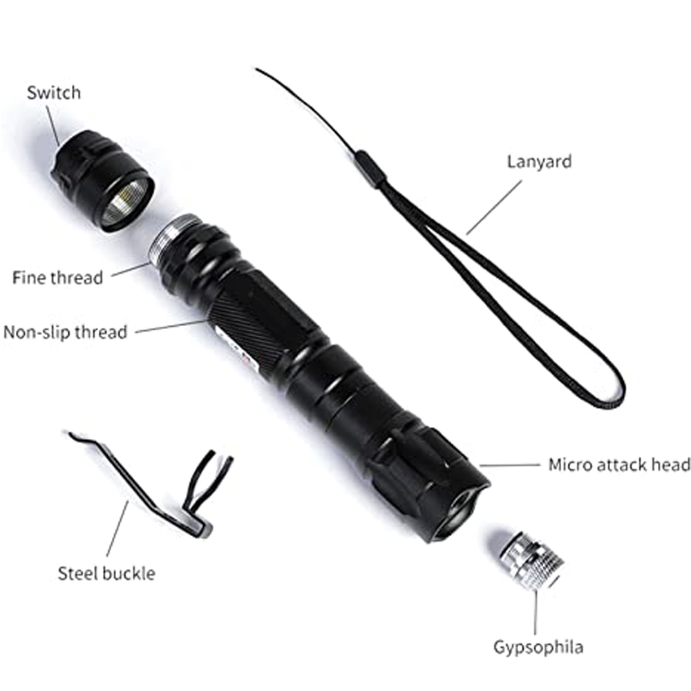 (배터리 미포함) 그린 레이저 포인터 5개 캡 교육 도 - Laser Pointer Cat Toy Automatic 리뷰 및 가격