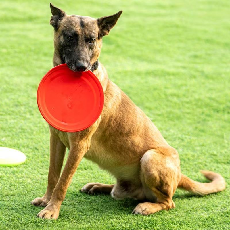 단단한 플라스틱 강아지 프리스비 발바닥 무늬 미끄럼 방 - Flying Disc Dog Training Toy 리뷰 및 가격