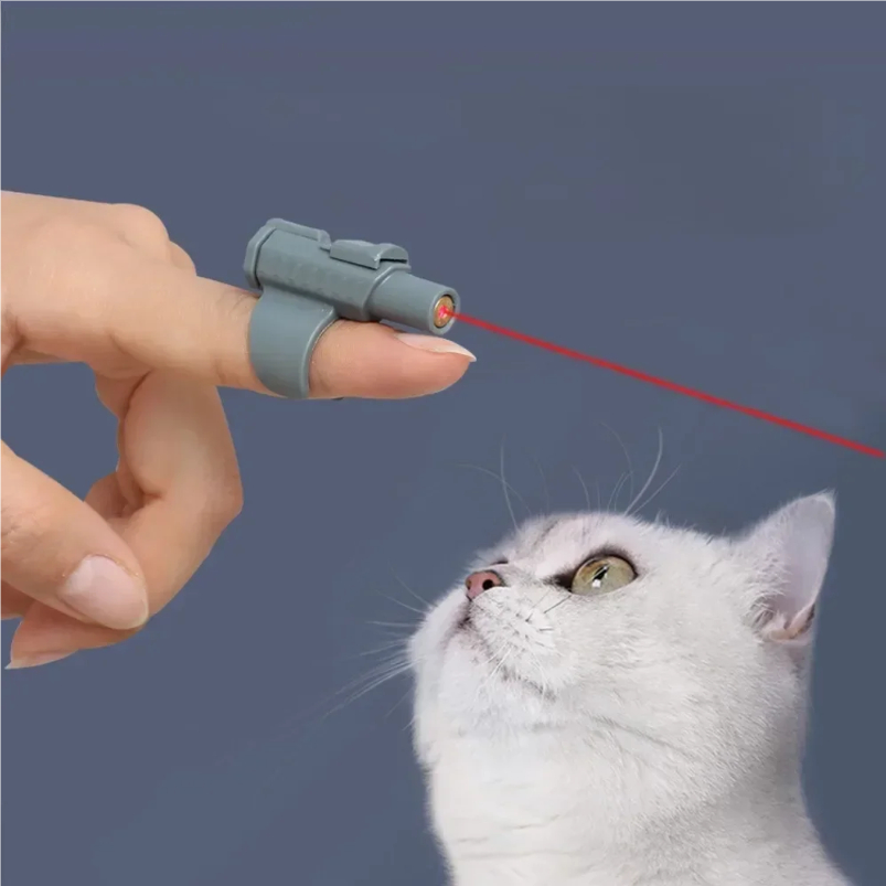 휴대용 미니 레이저 고양이 장난감 - 손가락에 착용 가 - Laser Pointer Cat Toy Automatic 리뷰 및 가격