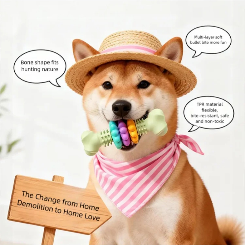 튼튼한 TPR 소재 강아지 씹는 장난감 뼈 모양 내구성 - Teeth Cleaning Dog Chew Bone 리뷰 및 가격