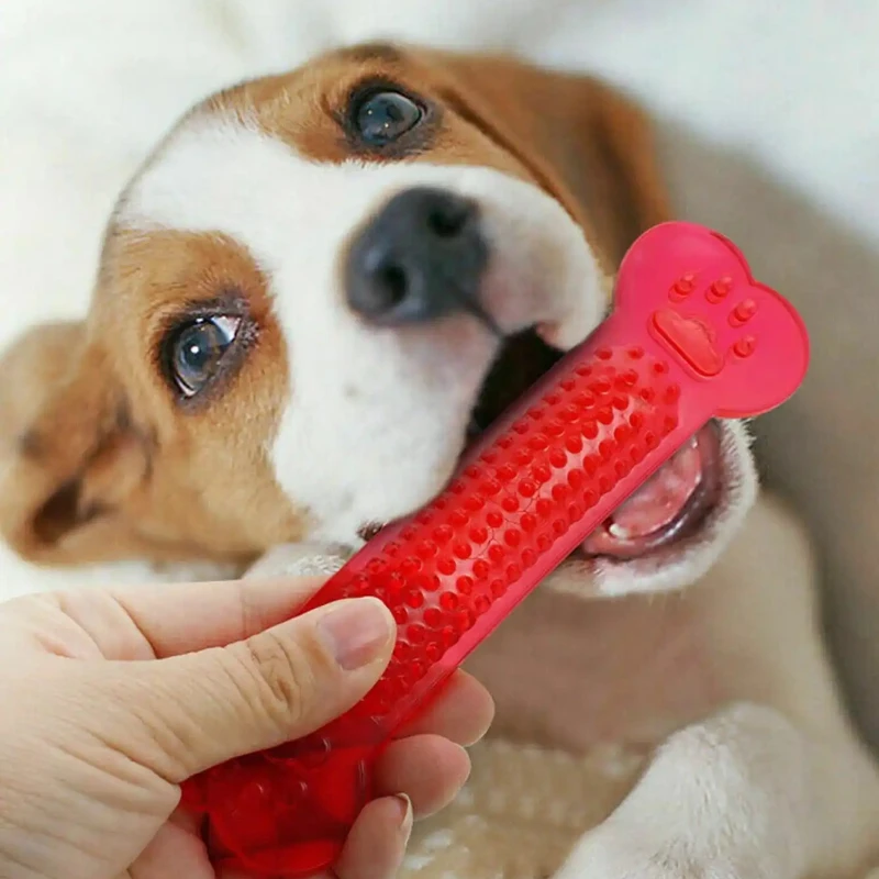 강아지용 초강력 뼈 모양 장난감, 공격적인 씹는 습관을 - Teeth Cleaning Dog Chew Bone 리뷰 및 가격