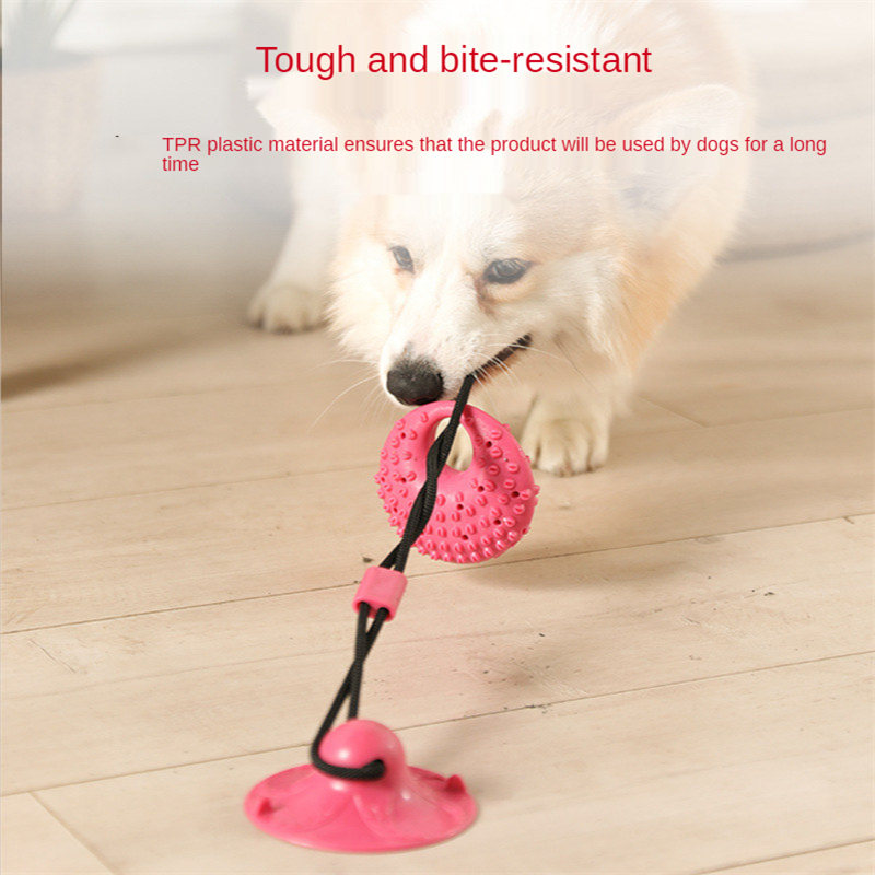 개 장난감 실리콘 흡입 컵 잡아 당김 대화 형 개 공  - Suction Cup Dog Tug Toy 리뷰 및 가격
