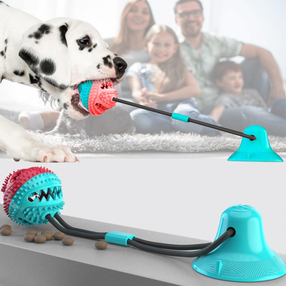 공격적인 씹는 습관을 가진 강아지를 위한 강아지 씹는  - Rubber Treat Dispensing Dog Toy 리뷰 및 가격