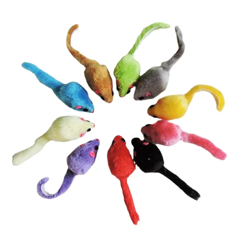 8개의 털복숭이 고양이 장난감, 부드러운 솔리드 인터랙 - Catnip Interactive Plush Mouse 리뷰 및 가격