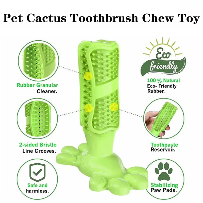 반려견 선인장 인터랙티브 고무 물기 방지 씹기 장난감, - Rubber Treat Dispensing Dog Toy 리뷰 및 가격