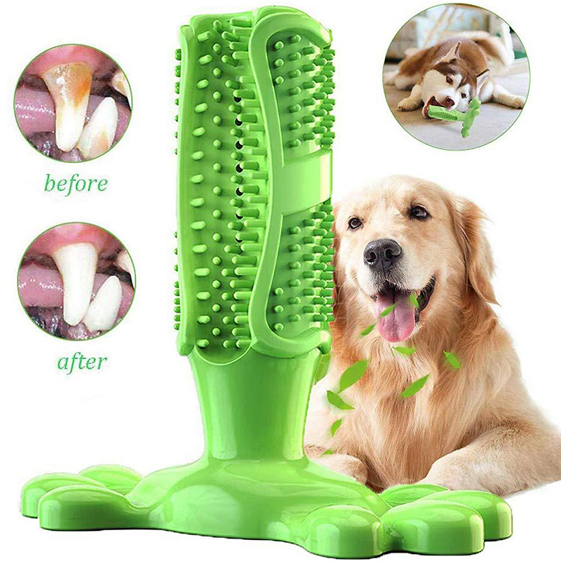 반려견 선인장 인터랙티브 고무 물기 방지 씹기 장난감, - Rubber Treat Dispensing Dog Toy 리뷰 및 가격