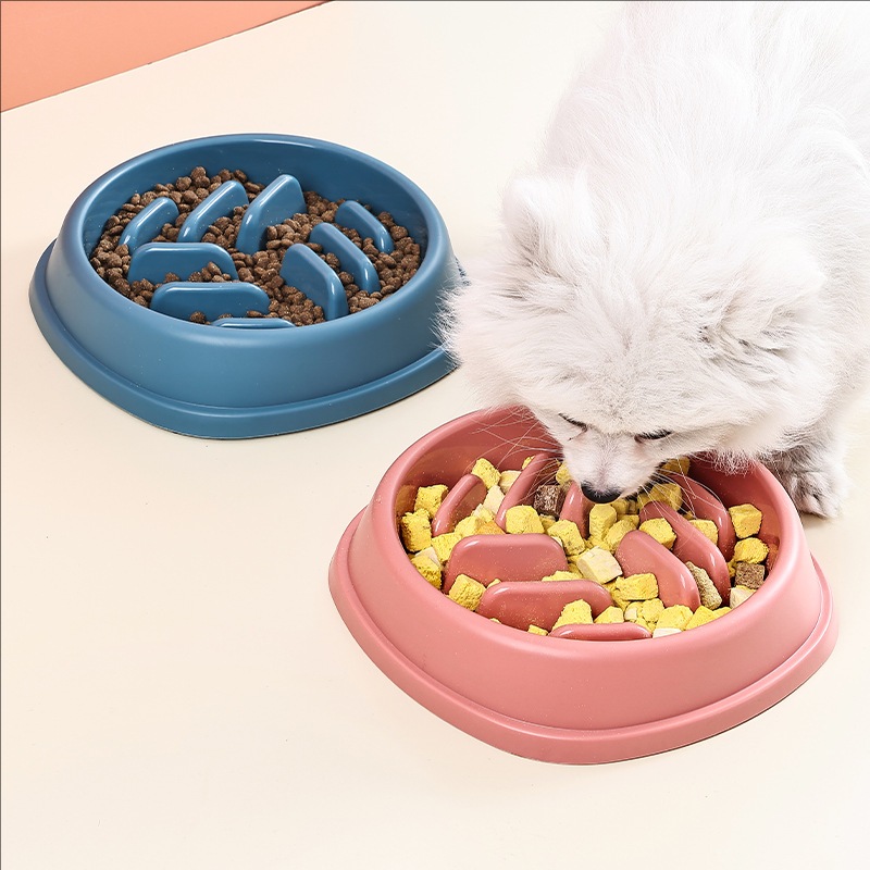 애완 동물 용품 개와 고양이 느린 음식 그릇 퍼즐 질식 - Dog Puzzle Feeder Toy 리뷰 및 가격