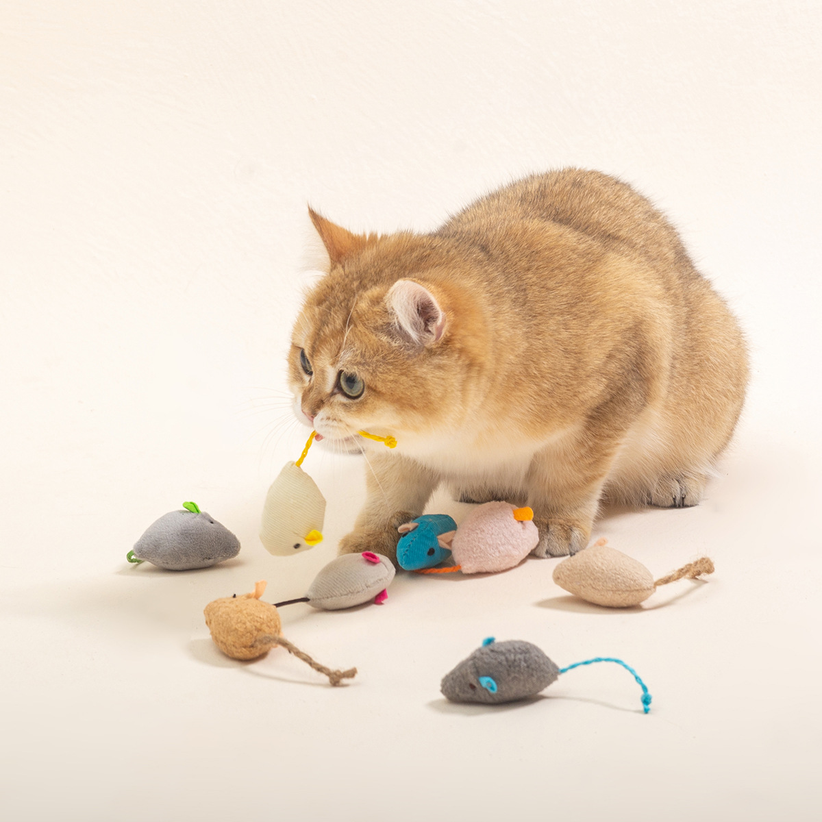 16개입 인터랙티브 고양이 장난감 쥐 모양 고양이 씹기 - Catnip Interactive Plush Mouse 리뷰 및 가격