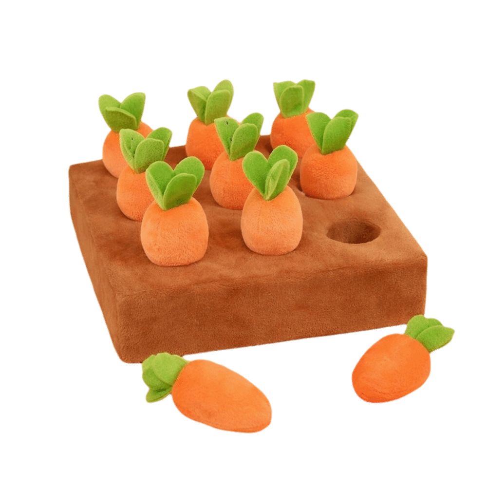 스트레스 해소 당근 스너플 매트, 분리 가능한 당근,  - Dog Puzzle Feeder Toy 리뷰 및 가격
