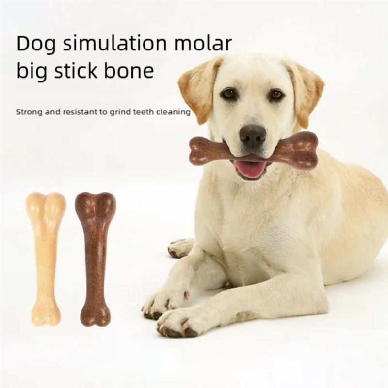 강아지 뼈 모양 씹는 장난감, 내구성 있는 치아 세척  - Teeth Cleaning Dog Chew Bone 리뷰 및 가격