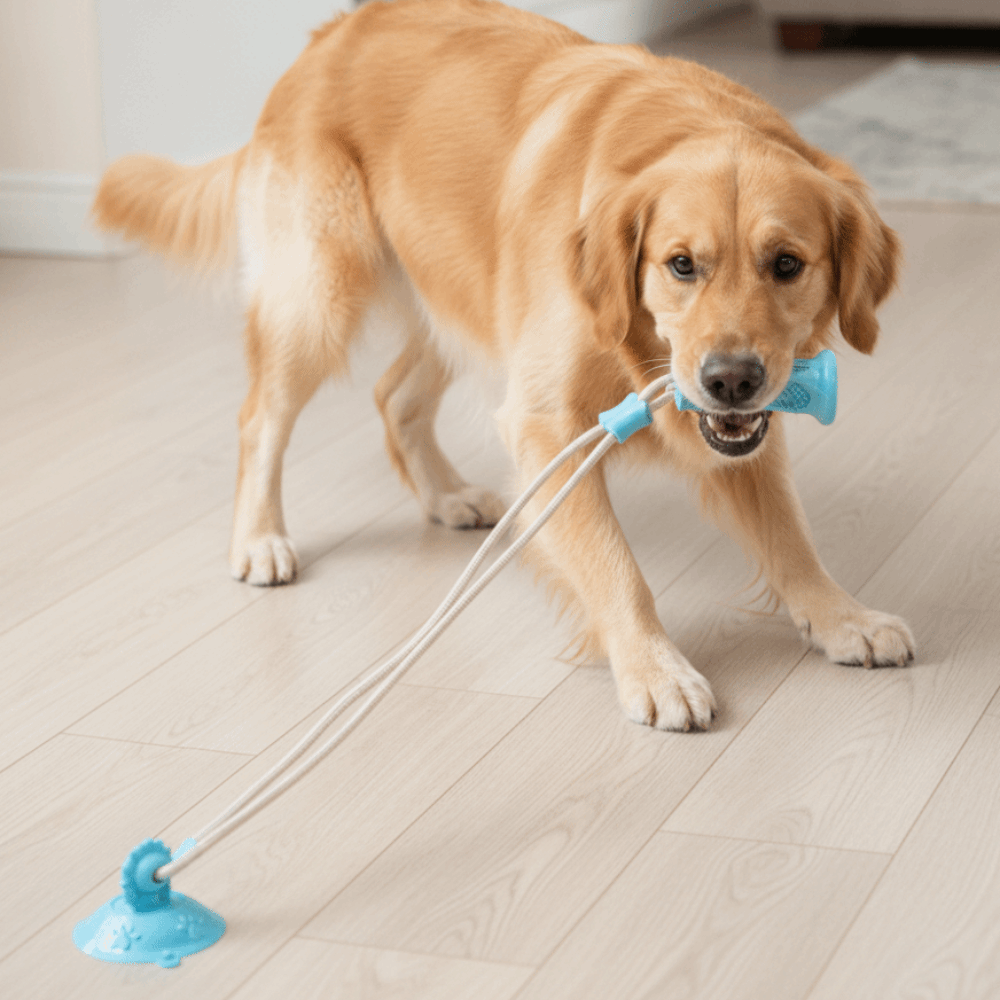 내구성 있는 흡착식 강아지 장난감, 음식이 새지 않는  - Suction Cup Dog Tug Toy 리뷰 및 가격