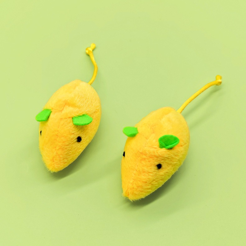 5pcs 고양이 씹는 플러시 장난감 고양이 잔디 대화  - Catnip Interactive Plush Mouse 리뷰 및 가격