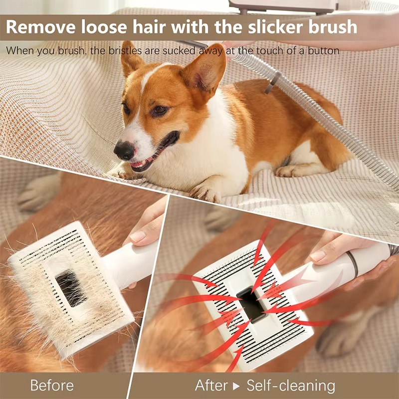도매가 다기능 애완동물 진공청소기 강아지 고양이 털 제 - Pet Grooming 리뷰 및 가격
