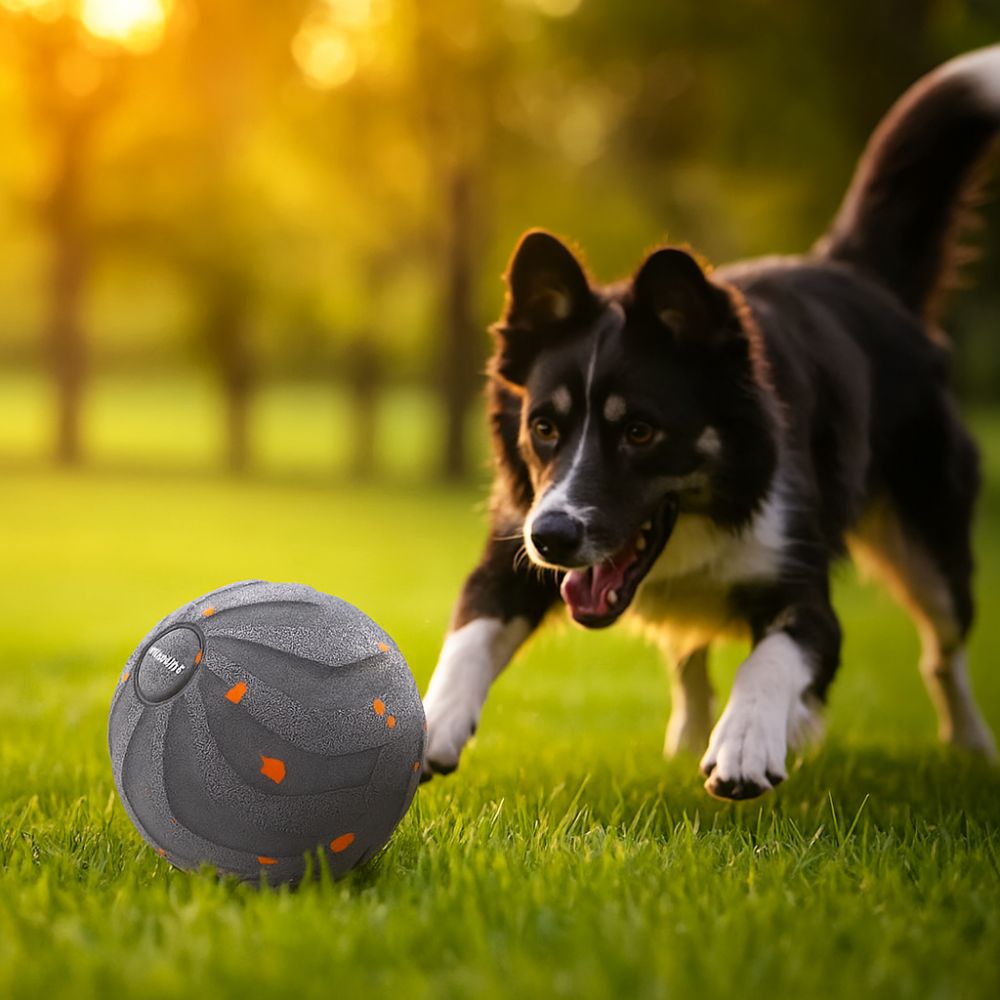 물림 방지 스마트 강아지 장난감 공 내구성 자동 이동  - Automatic Moving Dog Ball 리뷰 및 가격