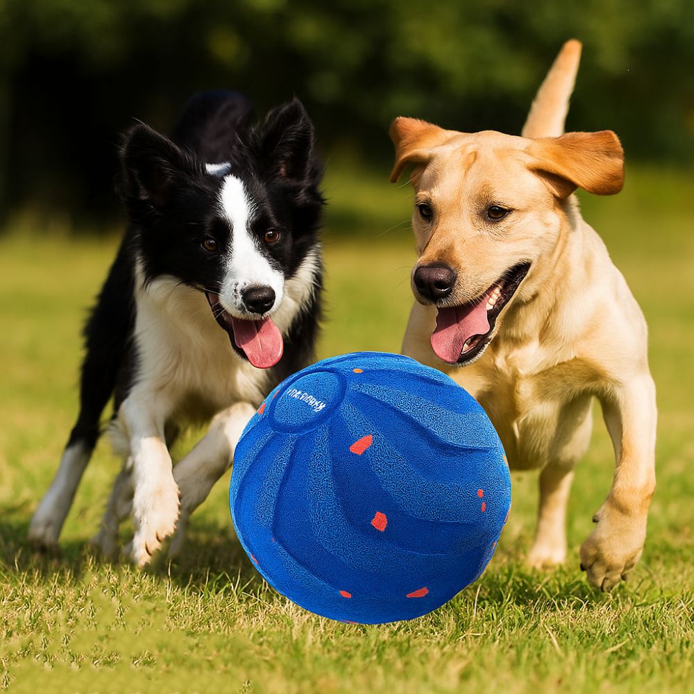 물림 방지 스마트 강아지 장난감 공 내구성 자동 이동  - Automatic Moving Dog Ball 리뷰 및 가격