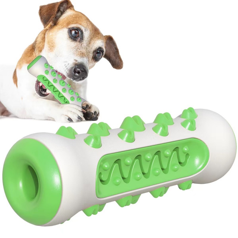 애완견 치아발육 스틱 씹는 뼈 칫솔 치아 관리 장난감  - Teeth Cleaning Dog Chew Bone 리뷰 및 가격