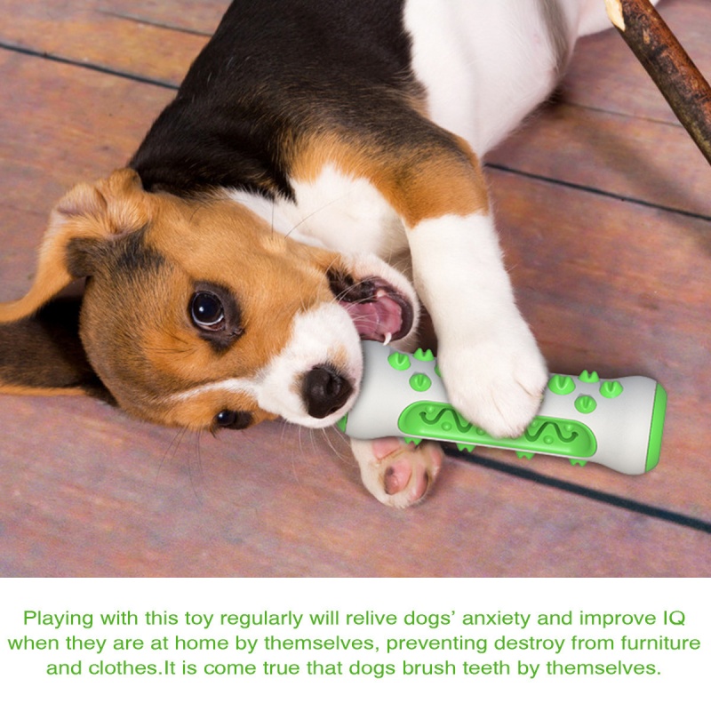 애완견 치아발육 스틱 씹는 뼈 칫솔 치아 관리 장난감  - Teeth Cleaning Dog Chew Bone 리뷰 및 가격