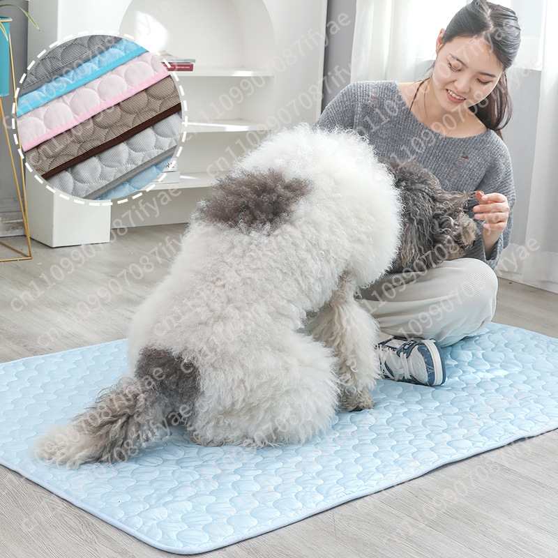 여름용 시원한 애완동물 침대 대형견 고양이 담요 아이스 - Pet Beds 리뷰 및 가격