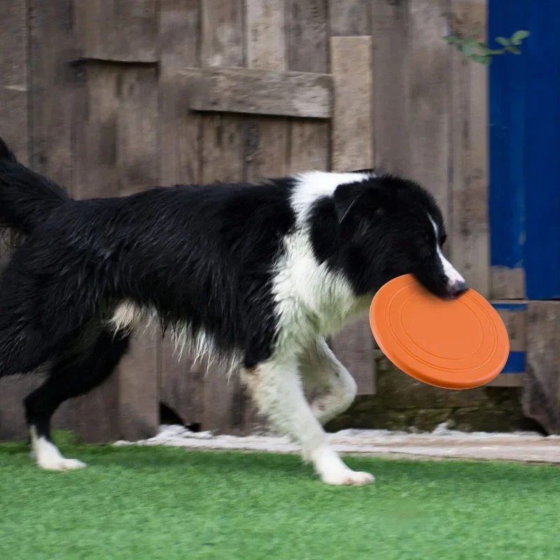 실리콘 비행 쏘서 재미있는 개 고양이 장난감, 비행 디 - Flying Disc Dog Training Toy 리뷰 및 가격