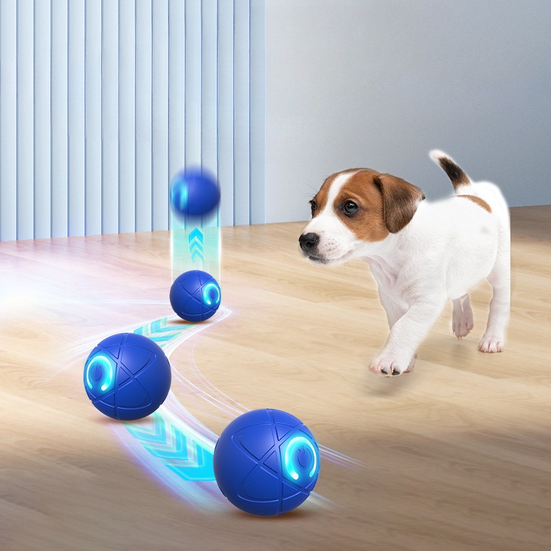 스마트 개 장난감 공 USB 자동 이동 튀는 공 개 장 - Automatic Moving Dog Ball 리뷰 및 가격