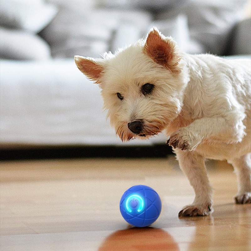 스마트 개 장난감 공 USB 자동 이동 튀는 공 개 장 - Automatic Moving Dog Ball 리뷰 및 가격
