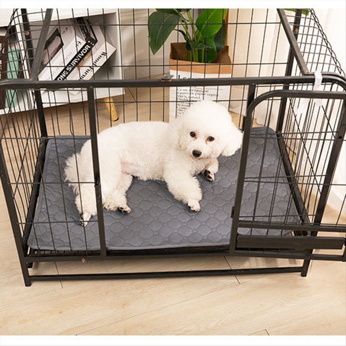 *A14E 재사용 가능한 강아지 소변 패드 흡수성 기저 - Pet Beds 리뷰 및 가격