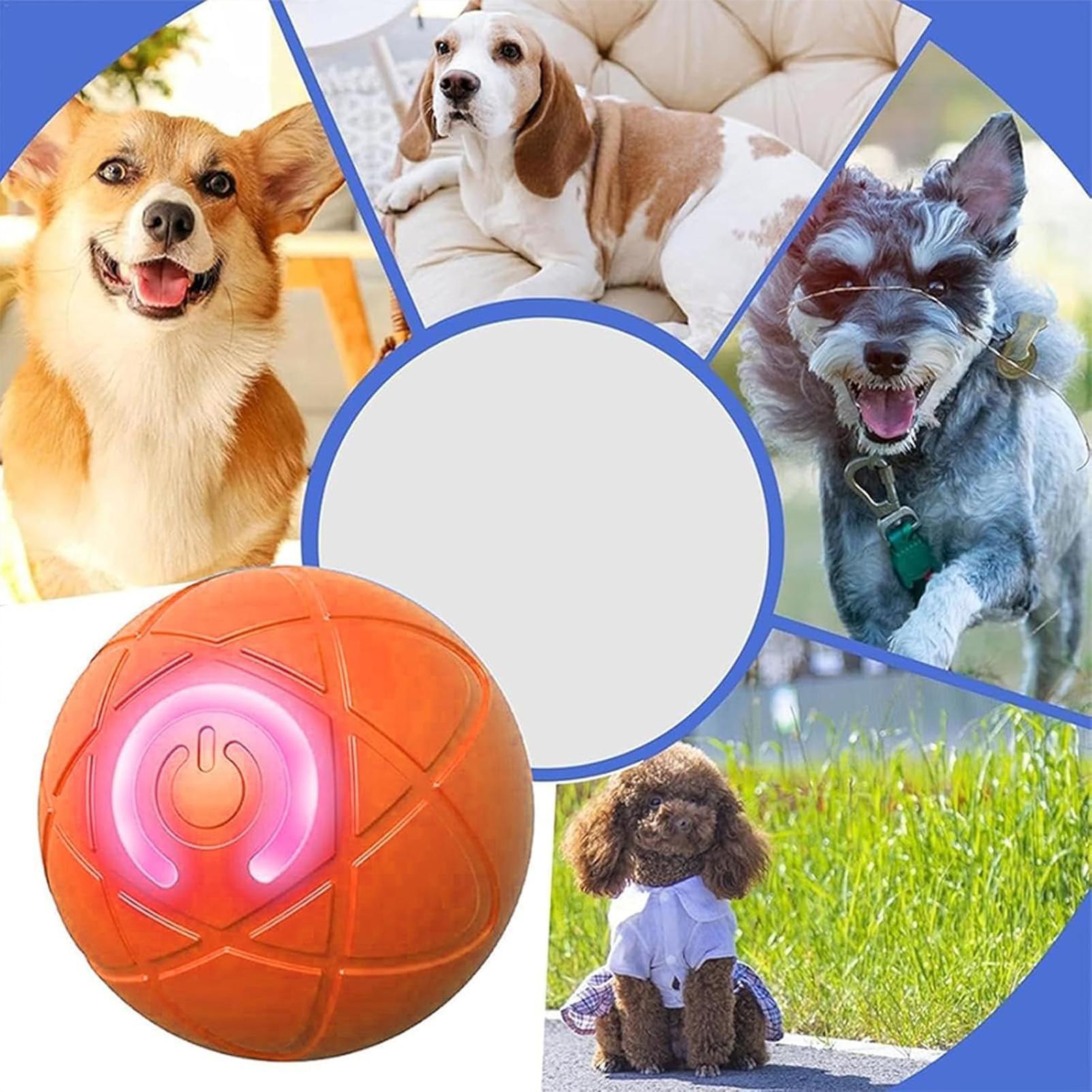 스마트 강아지 장난감 공 전자식 인터랙티브 애완동물 장 - Automatic Moving Dog Ball 리뷰 및 가격