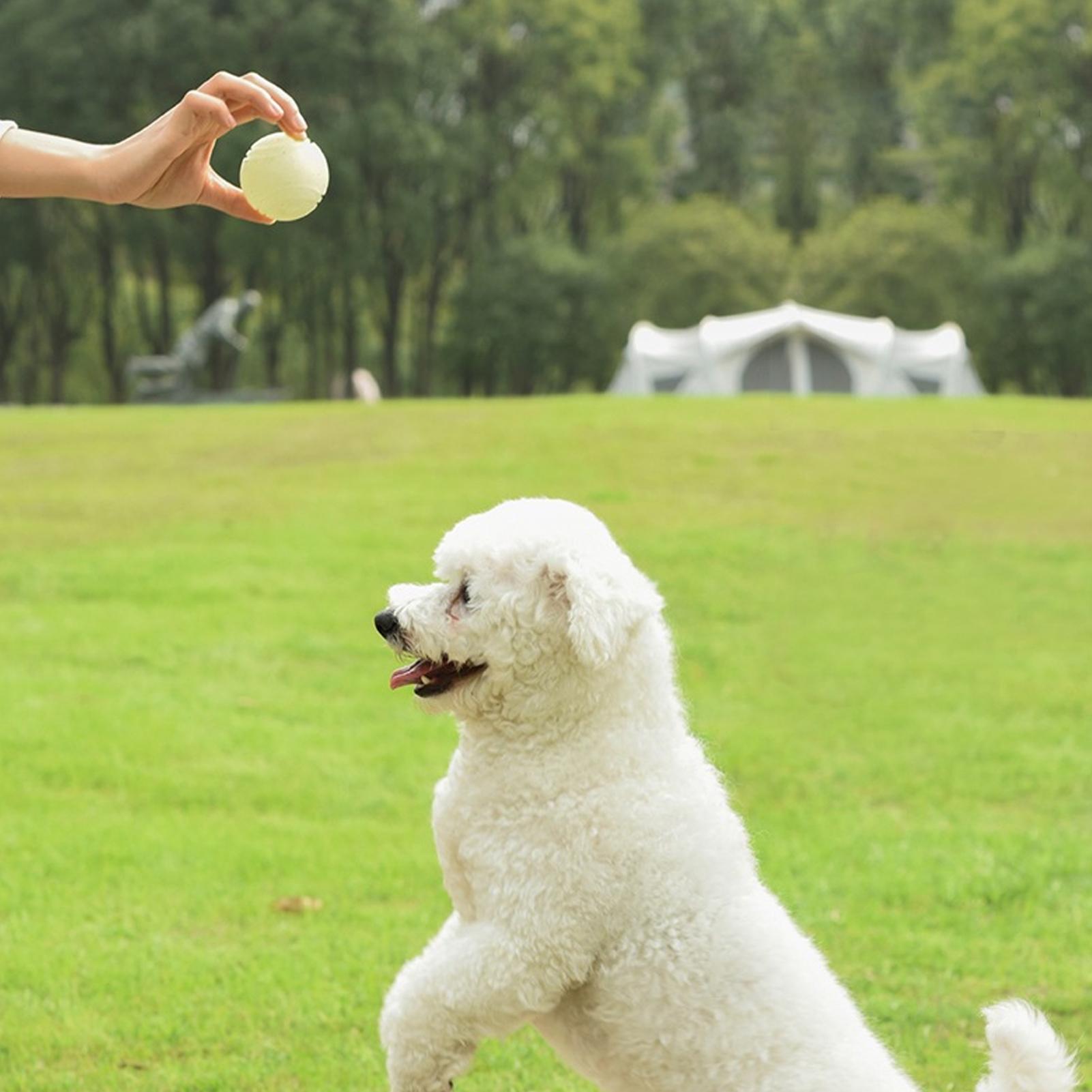 야광 강아지 장난감 공, 로프가 달린 튀는 씹는 장난감 - Dog Rope Toy Aggressive Chewers 리뷰 및 가격