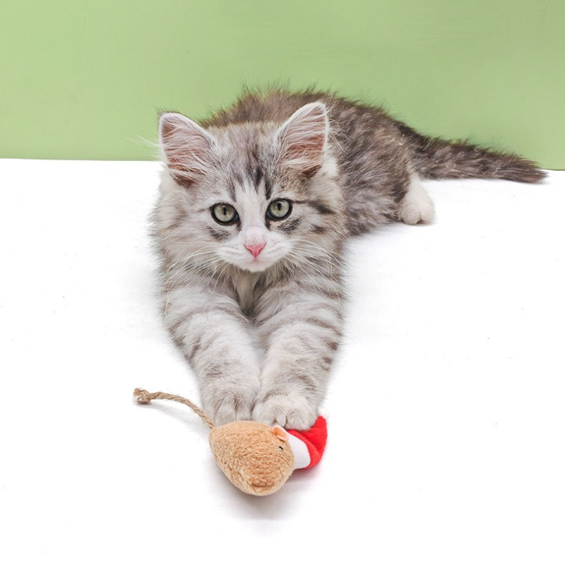 5pcs 고양이 푸시 씹는 장난감 고양이 잔디 크리스마 - Catnip Interactive Plush Mouse 리뷰 및 가격