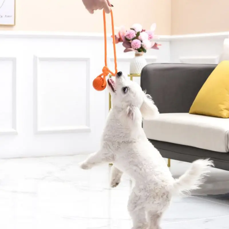 코튼 로프 공 장난감 개 훈련 공, 내구성 있는 상호작 - Suction Cup Dog Tug Toy 리뷰 및 가격